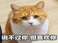 海口秀英舞漳电子商务工作室