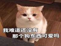 海口秀英舞漳电子商务工作室
