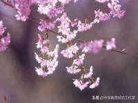 海口秀英舞漳电子商务工作室
