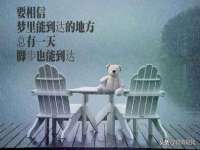 海口秀英舞漳电子商务工作室