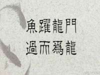 海口秀英舞漳电子商务工作室