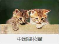 海口秀英舞漳电子商务工作室