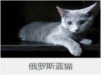 海口秀英舞漳电子商务工作室