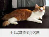 海口秀英舞漳电子商务工作室