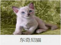 海口秀英舞漳电子商务工作室
