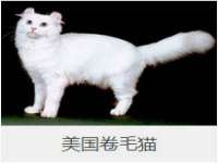 海口秀英舞漳电子商务工作室