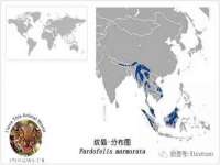 海口秀英舞漳电子商务工作室