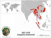海口秀英舞漳电子商务工作室