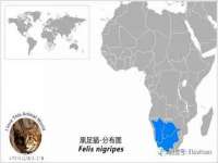 海口秀英舞漳电子商务工作室