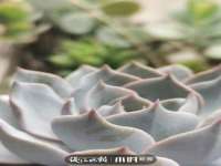 海口秀英舞漳电子商务工作室