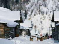海口秀英舞漳电子商务工作室