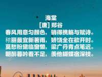 海口秀英舞漳电子商务工作室