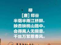 海口秀英舞漳电子商务工作室