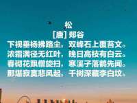 海口秀英舞漳电子商务工作室
