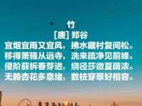 海口秀英舞漳电子商务工作室