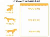 海口秀英舞漳电子商务工作室