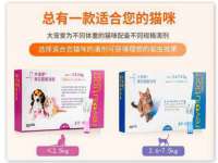 海口秀英舞漳电子商务工作室