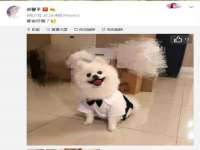 海口秀英舞漳电子商务工作室