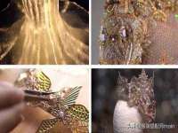 海口秀英舞漳电子商务工作室