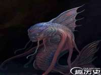 海口秀英舞漳电子商务工作室