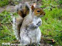 海口秀英舞漳电子商务工作室