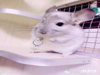 海口秀英舞漳电子商务工作室
