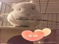 海口秀英舞漳电子商务工作室
