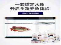 海口秀英舞漳电子商务工作室