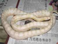 海口秀英舞漳电子商务工作室