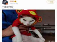 海口秀英舞漳电子商务工作室